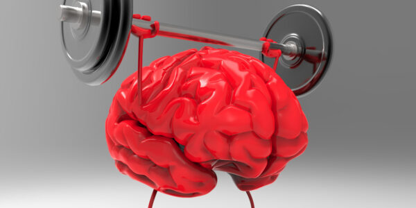 Mentaltraining